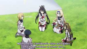 IS: Infinite Stratos